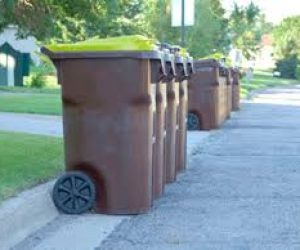 General Junk Removal