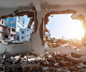 Selective Demolition