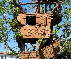Treehouse Demolition